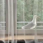 Podczele Tarsis Kołobrzeg