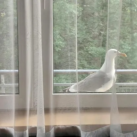 Podczele Tarsis Kolobrzeg