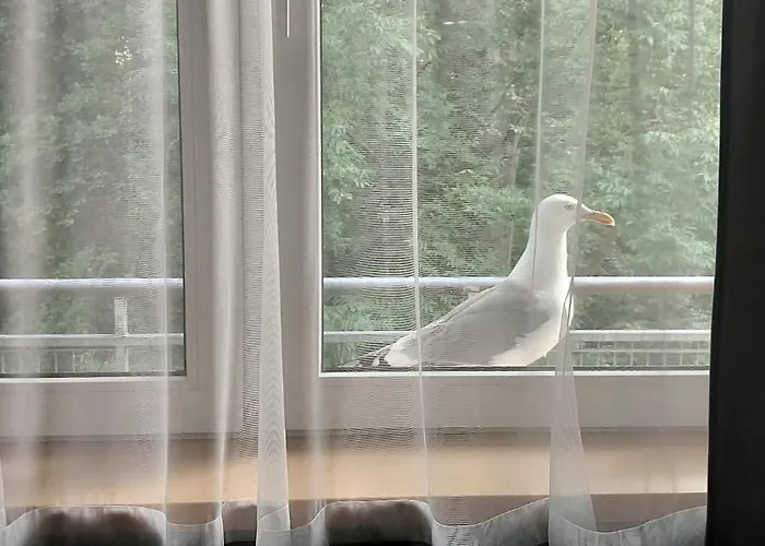 Podczele Tarsis Kolobrzeg